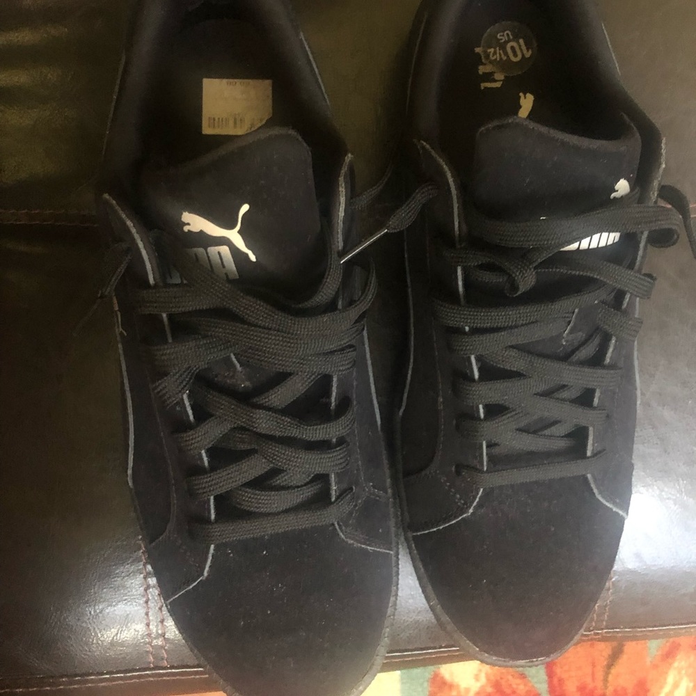Puma for sale